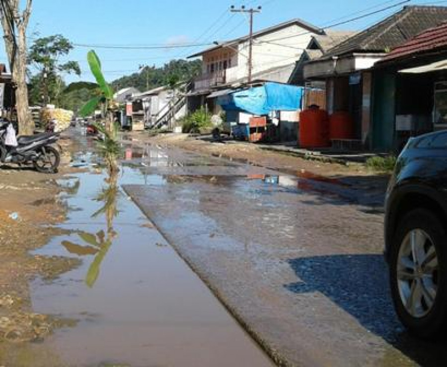 PROTES: Pisang yang ditanam di tengah jalan sebagai bentuk protes warga.