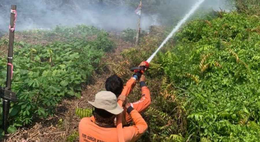 Kebakaran Lahan di Wilayah Kecamatan Sangatta Utara (ist)