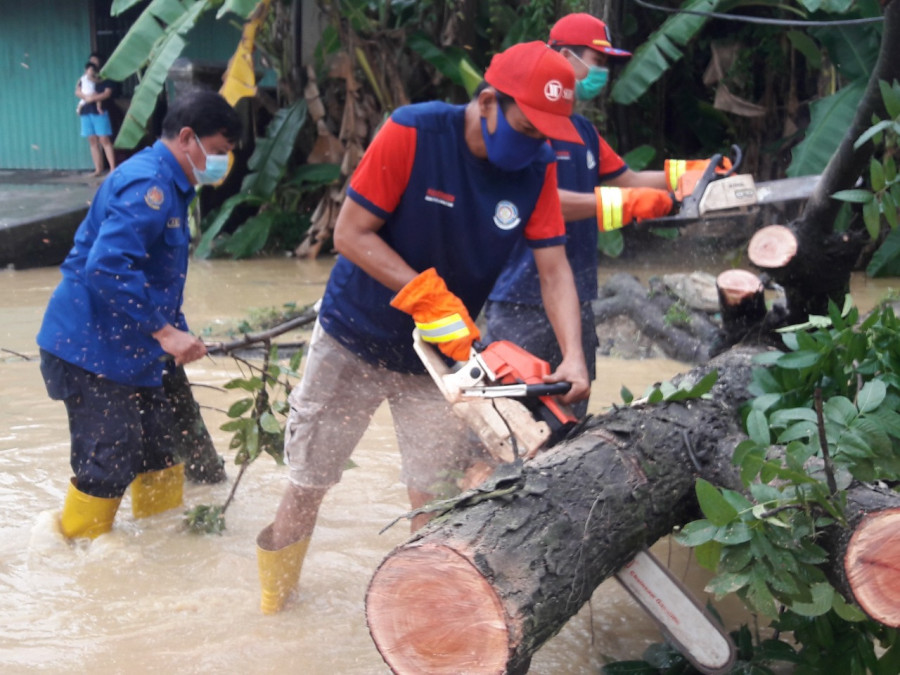 Tim Damkar Samarinda memotong pohon yang rubuh ke tengah jalan saat banjir dan arus yang deras siang tadi di Sempaja (Foto: Aspian Nur /korankaltim.com )