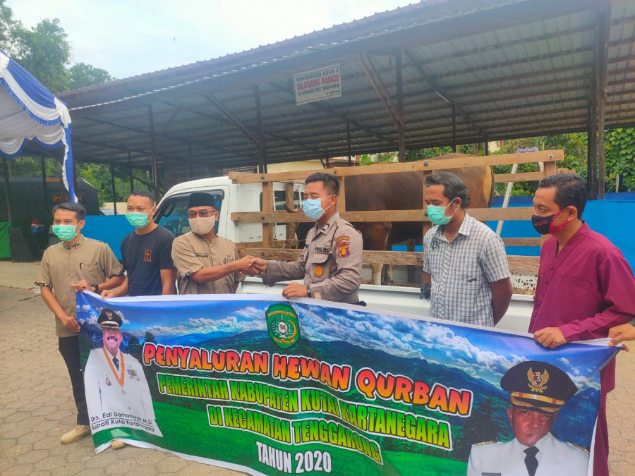 Amir Hady saat menyalurkan satu ekor sapi qurban ke Polres Kukar, Kamis (30/7/2020) (foto: Reza Fahlevi)