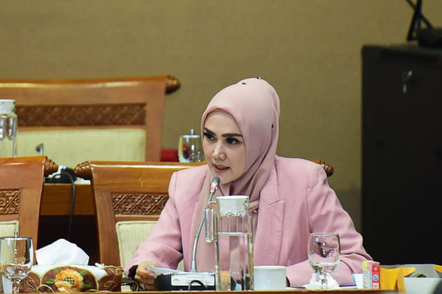 Anggota Komisi VII DPR RI Mulan Jameela (Humas DPR RI)