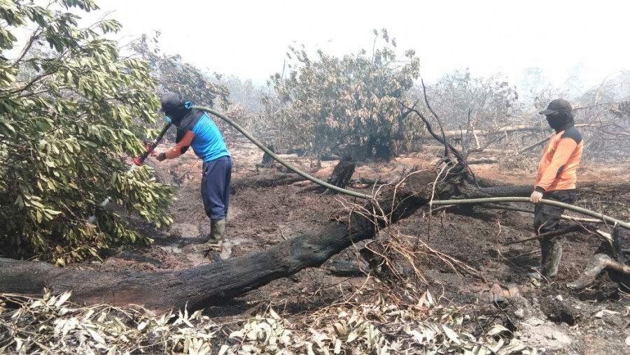 Petugas gabungan melakukan penyemprotan titik api lahan gambut di Kelurahan Petung dan Girupurwa. (Erwin/KoranKaltim.Com)