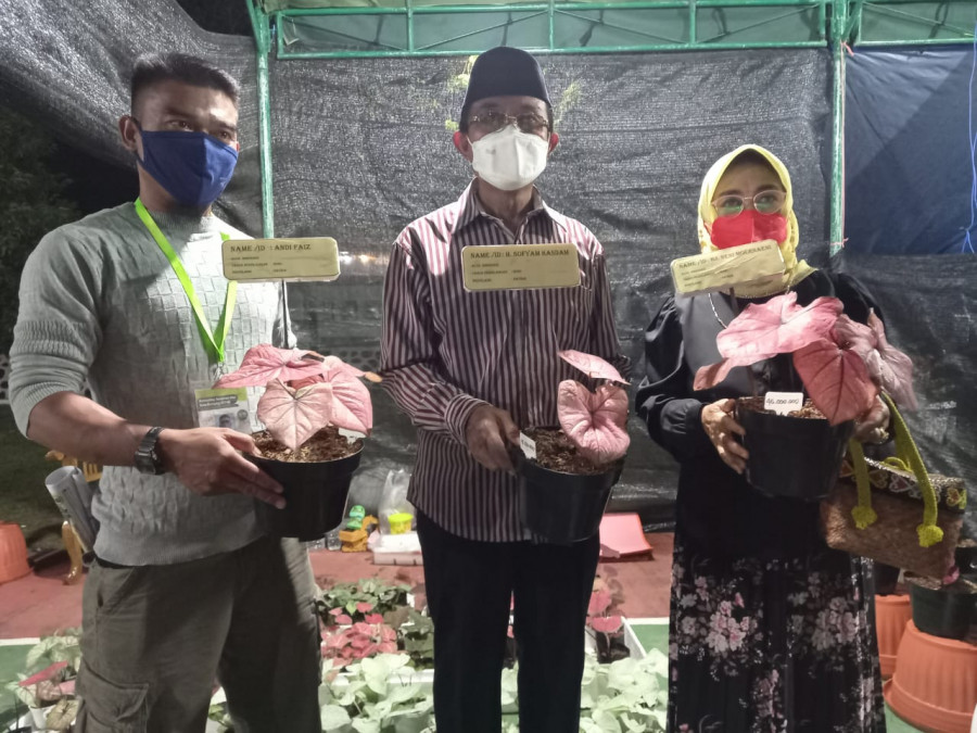 Sofyan Hasdam dan Neni Moerniaeni bersama Satria memegang bunga Keladi hasil silangan sendiri, yang nilainya dibandrol puluhan juta. (Foto: olis/korankaltim.com)