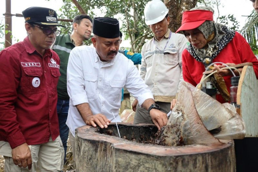 Edi Damansyah Kagum Perkembangan Budidaya Madu Kelulut di Desa Tani Harapan