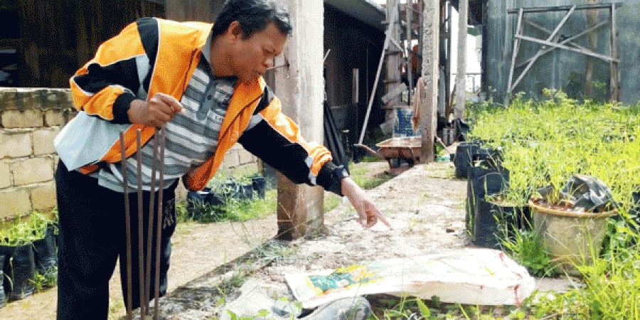 Abdul Aziz menunjukan lokasi di temukan bayi yang di buang ibunya. Dengan beralaskan karung.(YULI/KORANKALTIM.COM)