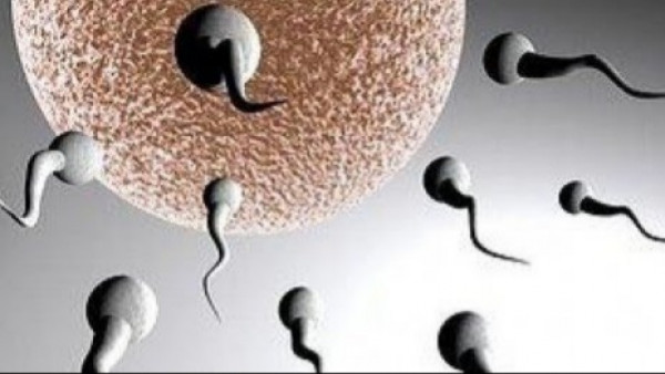 Apakah mengeluarkan sperma yang terlalu sering mengakibatkan osteoporosis