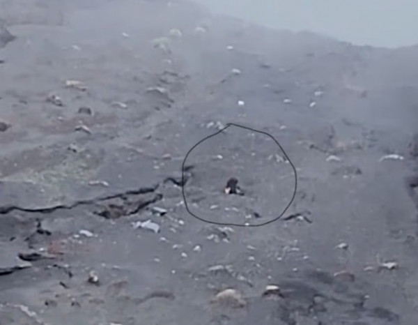 Qiz boglangan va jinsiy aloqa mashinasi bilan jazolangan.