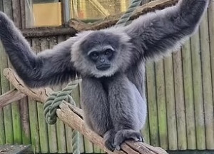 Jinsiy aloqa haqida erkaklar uchun maslahatlar