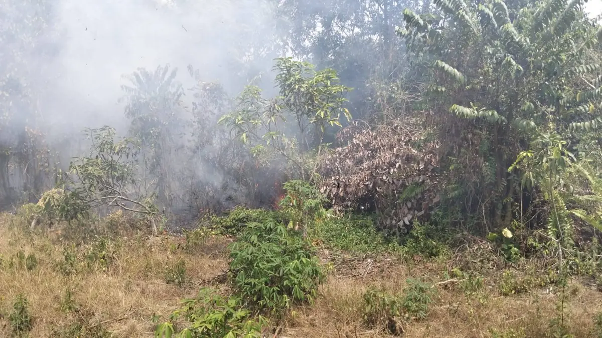 Kebakaran lahan yang terjadi di Kelurahan Makroman, Samarinda. (Dok Info Taruna Samarinda)