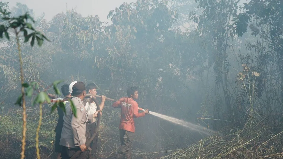 Kondisi asap Karhutla yang mengepul turut menjadi penyebab ISPA di Kaltim meningkat. (Foto: Istimewa)