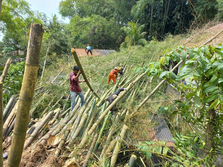 Suara Berderak, Rumpun Bambu Timpa Rumah Warga di Tarakan