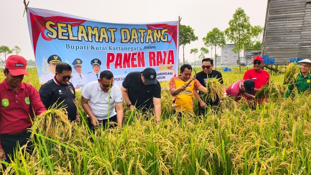 Momen Taufik bersama pihak terkait melakukan panen raya di desa sebelimbingan. (Foto: Taufik)