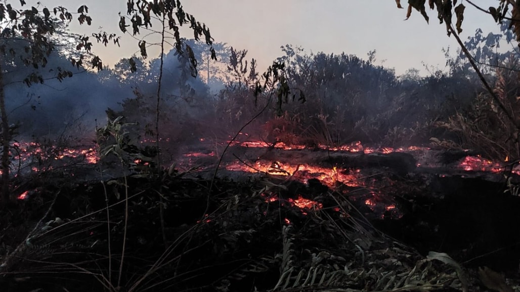 Petugas masih melakukan pemadaman karhutla di RT 03 Kelurahan Sepan, Kecamatan Penajam, hingga Rabu (19/8/2026) pukul 19.00 Wita. (Dok. BPBD PPU)