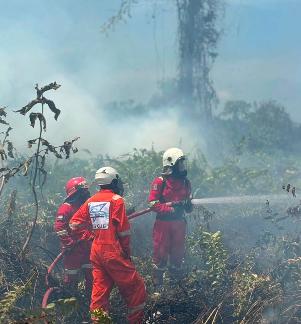 Petugas saat memadamkan Karhutla yang terjadi di sejumlah wilayah di Kukar (Dok: Disdamkar Matan Kukar)